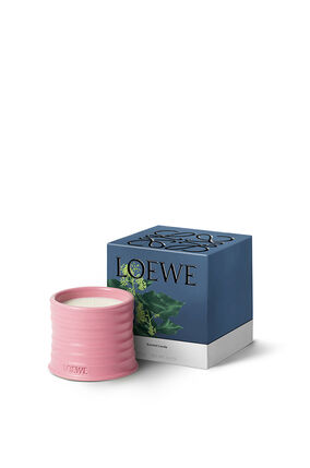 Loewe Fragrance Candle Gift Box