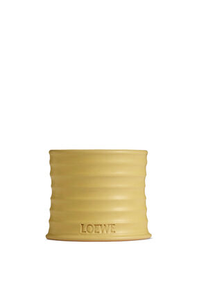 Loewe Fragrance Candle Gift Box